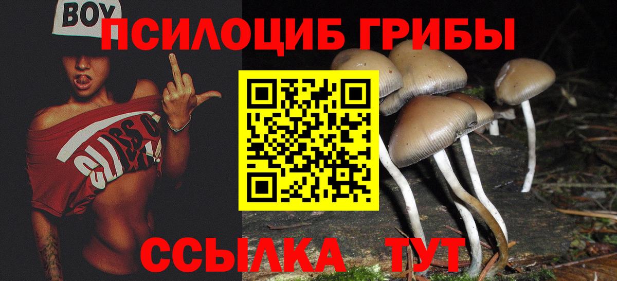Псилоцибиновые грибы мухоморы Кострома