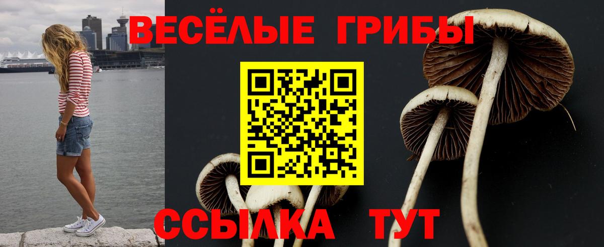 Псилоцибиновые грибы MAGIC MUSHROOMS  Вход с VPN  Кострома  Псилоцибиновые грибы ЛСД 